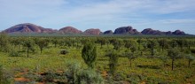 D'Uluru à Alice Springs