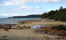 Côte Nord de l'Ile du Sud : Abel Tasman et ses environs